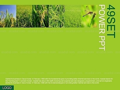 식물 디자인 PPT 템플릿 세트2_친환경 쌀과 농촌_b0067(하이피티)