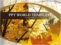 나무 물방울 PPT 템플릿 낙엽이 있는 템플릿_슬라이드1