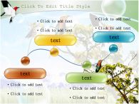 여러종류의 새 나무에 앉은 새 PPT 템플릿 나무에 앉은 여러종류의 새_슬라이드5