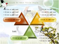 여러종류의 새 나무에 앉은 새 PPT 템플릿 나무에 앉은 여러종류의 새_슬라이드15