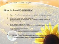 햇살 해바라기꽃 PPT 템플릿 넓은 꽃밭의 해바라기_슬라이드3