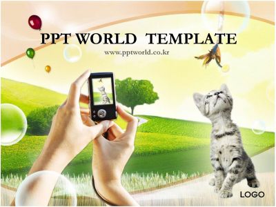 초원 초원 위 PPT 템플릿 사진찍는 손과 고양이_슬라이드1