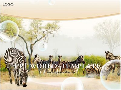 August  PPT 템플릿 아프리카의 기린과 동물들(메인)