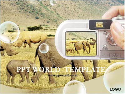 코뿔소 코끼리와 코뿔소 PPT 템플릿 아프리카의 동물과 사진찍는 손
