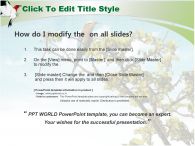 참새 나무 PPT 템플릿 나무 위에 앉은 새_슬라이드2