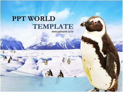 북극 조류 PPT 템플릿 남극의 펭귄이 있는 템플릿_슬라이드1