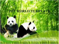 팬더 곰 PPT 템플릿 대나무 숲속의 판다들_슬라이드1