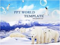 바다 빙하 PPT 템플릿 북극의 곰 가족_슬라이드1