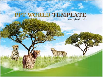 치타 아프리카 PPT 템플릿 세렝게티, 치타의 모습_슬라이드1