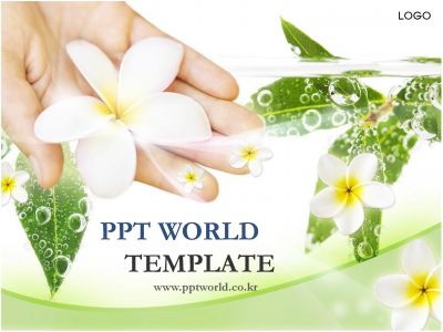 꽃 꽃잎 PPT 템플릿 촉촉한 잎새와 이국적인 꽃_슬라이드1