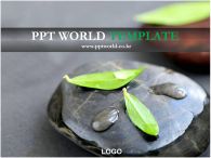 심플 홍보 PPT 템플릿 물방울 맺힌 나뭇잎이 있는 템플릿_슬라이드1