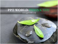 심플 홍보 PPT 템플릿 물방울 맺힌 나뭇잎이 있는 템플릿_슬라이드16