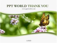 배경 사업계획서 PPT 템플릿 꽃과 나비 파워포인트_슬라이드16