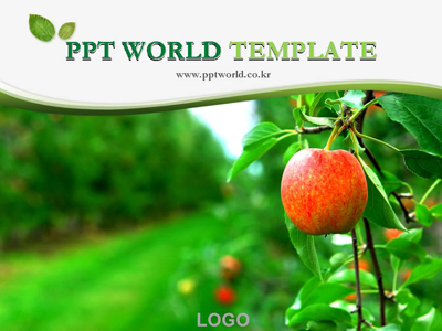 PPT배경 고급형 PPT 템플릿 사과나무 파워포인트_슬라이드1