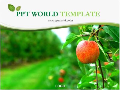 사업계획서  식물 PPT 템플릿 사과나무 파워포인트