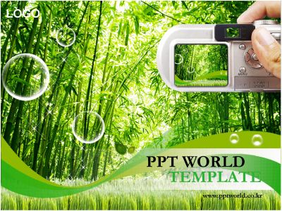 풍경 ppt PPT 템플릿 대나무숲속 촬영 템플릿