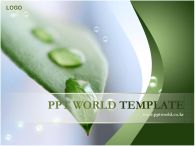 ppt 템플릿 PPT 템플릿 나뭇잎과물방울_슬라이드1