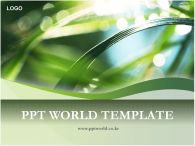 심플 여행계획서 PPT 템플릿 나뭇잎과이슬_슬라이드1