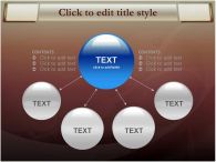 simple business PPT 템플릿 심플브라운계열금융템플릿_슬라이드8
