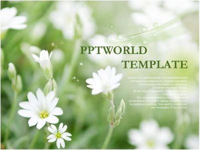 ppt 템플릿 PPT 템플릿 친환경 사업계획서(자동완성형포함)_슬라이드1