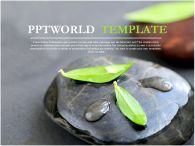 풍경 심플 PPT 템플릿 [애니형]물방울 맺힌 나뭇잎이 있는 템플릿(자동완성형 포함)_슬라이드1