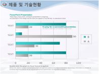 자동완성형 success PPT 템플릿 표준사업계획서1(자동완성형포함)_슬라이드12