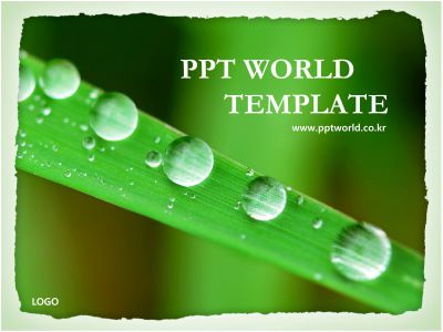 신선한 나뭇잎에 맺힌 물방울 PPT 템플릿 나뭇잎에 맺힌 물방울(자동완성형 포함)_슬라이드1