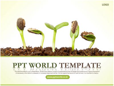 잎 식물 PPT 템플릿 성장 보고서(자동완성형 포함)