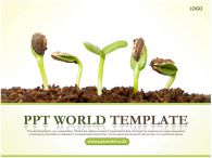 잎 식물 PPT 템플릿 성장 보고서(자동완성형 포함)_슬라이드1