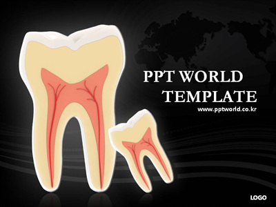 치아 의학 PPT 템플릿 치과학회 템플릿(자동완성형 포함)(메인)