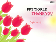 봄의 꽃 튤립이 있는 템플릿 아름다움 PPT 템플릿 봄의 꽃 튤립이 있는 템플릿(자동완성형 포함)_슬라이드26