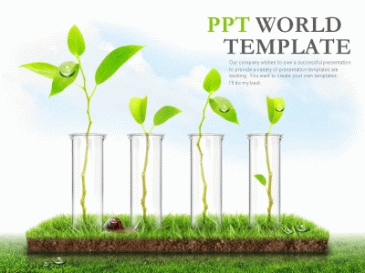제안서 나뭇잎새싹 PPT 템플릿 생명을 위한 연구(자동완성형포함)(메인)