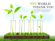 나뭇잎 새싹 PPT 템플릿 생명을 위한 연구(자동완성형포함)_슬라이드26