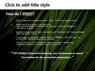숲 잔디 PPT 템플릿 싱그러운 그린 템플릿_슬라이드3