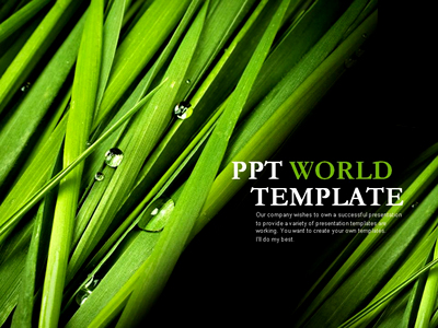 숲 잔디 PPT 템플릿 싱그러운 그린 템플릿(자동완성형포함)