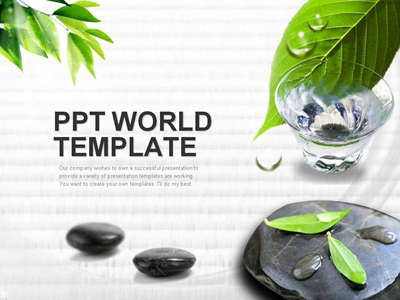 검정돌 장판 PPT 템플릿 돌위의 나뭇잎과 물한잔의 여유(메인)