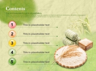 음식 식물 PPT 템플릿 친환경 농산물 쌀_슬라이드1