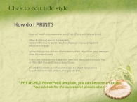 음식 식물 PPT 템플릿 친환경 농산물 쌀_슬라이드3