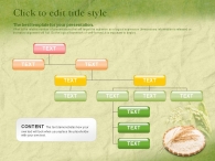 음식 식물 PPT 템플릿 친환경 농산물 쌀(자동완성형포함)_슬라이드6