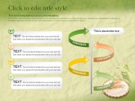 음식 식물 PPT 템플릿 친환경 농산물 쌀(자동완성형포함)_슬라이드12