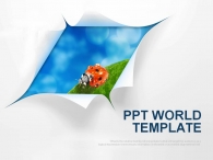 생명 그린 PPT 템플릿 깨끗한 자연 템플릿(자동완성형포함)_슬라이드1