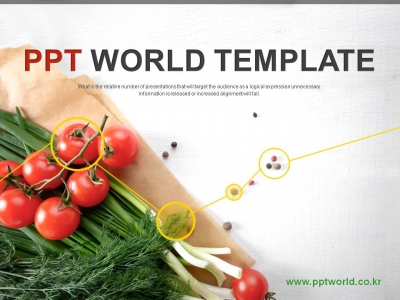 마늘 호박 PPT 템플릿 친환경 유기농 야채식단 사업 제안서(자동완성형포함)(메인)