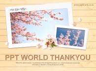자연 벗꽃 PPT 템플릿 나른한 봄날의 벚꽃놀이 템플릿_슬라이드4