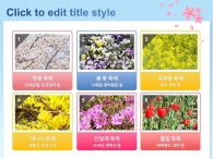 핑크빛 벚꽃나무 동산(자동완성형포함) 파워포인트 PPT 템플릿 디자인_슬라이드11