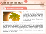 단풍잎 가을 편지 파워포인트 PPT 템플릿 디자인_슬라이드5