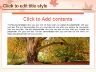 단풍잎 가을 편지 파워포인트 PPT 템플릿 디자인_슬라이드8