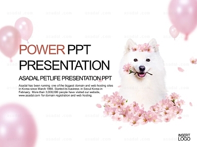 animal  PPT 템플릿 세트2_펫라이프_b1163(조이피티)