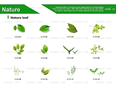 일러스트 아이콘 PNG아이콘 PPT 템플릿 1종_나뭇잎아이콘_d0051(좋은피티)
