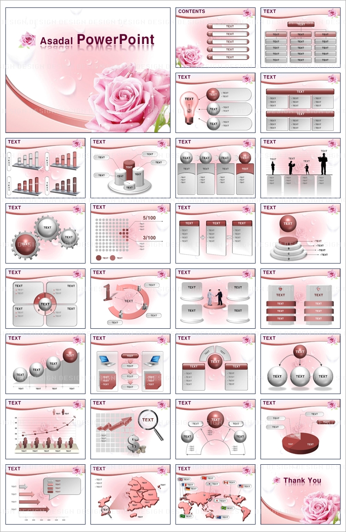 꽃 flower PPT 템플릿 활짝 핀 핑크빛 장미_001(굿피티)