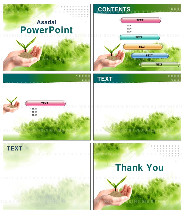 tree forest PPT 템플릿 배경_두 손 안의 새싹_001(고감도피티)
